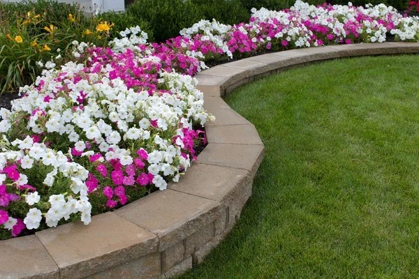 Professional landscape contractor in Victorville, CA Professional landscape contractor in Victorville, CA