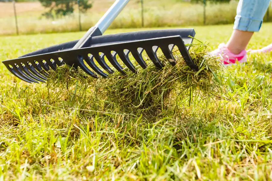 Superior Weeding Victorville, CA