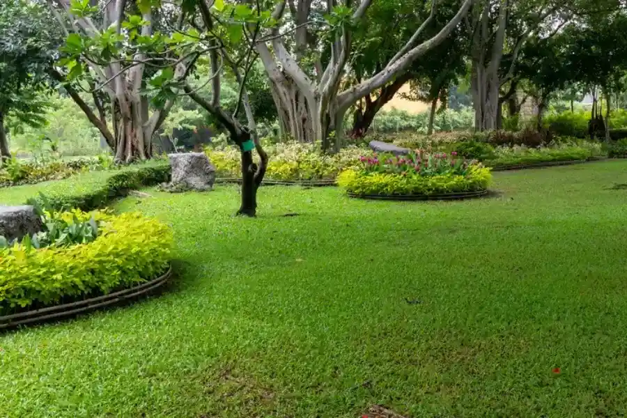 Top-rated Landscape Maintenance Victorville, CA