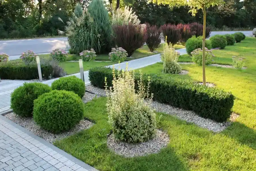 Why Landscape Maintenance Is Essential For Commercial Properties in Victorville, CA